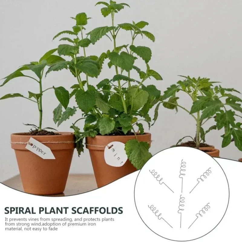 Bonsai Garden Plants - Kletterpflanzen-Stützstange, Rankgitter, Tomatenspiralen, Langlebige Bonsai-Metallspiralstangen für