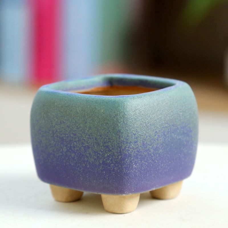 Training Pot Ceramic - Fleischiger Mini-Blumentopf aus Keramik, atmungsaktiver Daumentopf,