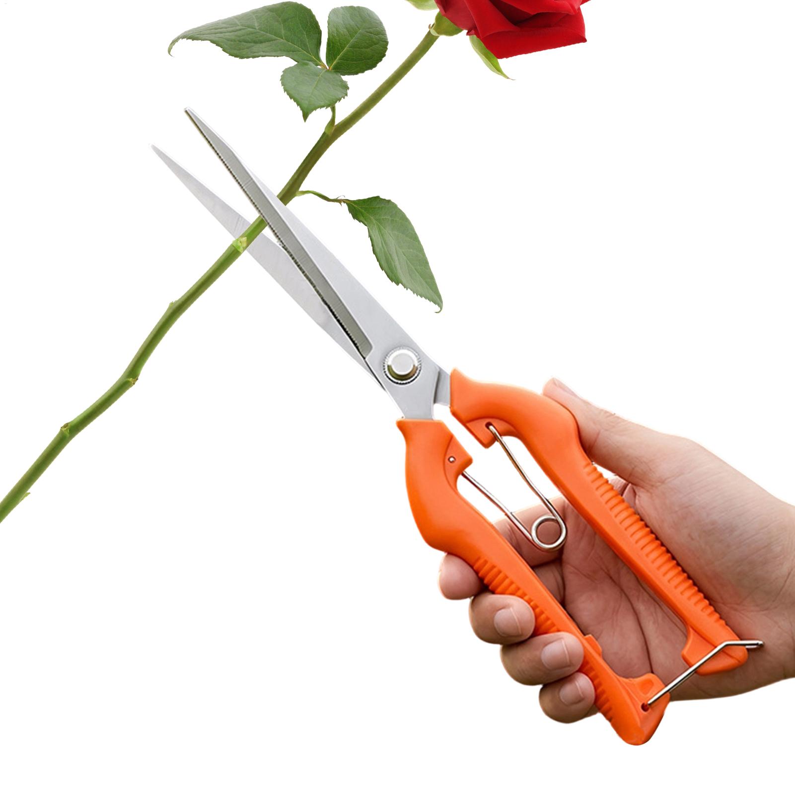 Bonsai Garden Knife - Professionelle Gartenschere aus Edelstahl für Weintrauben,