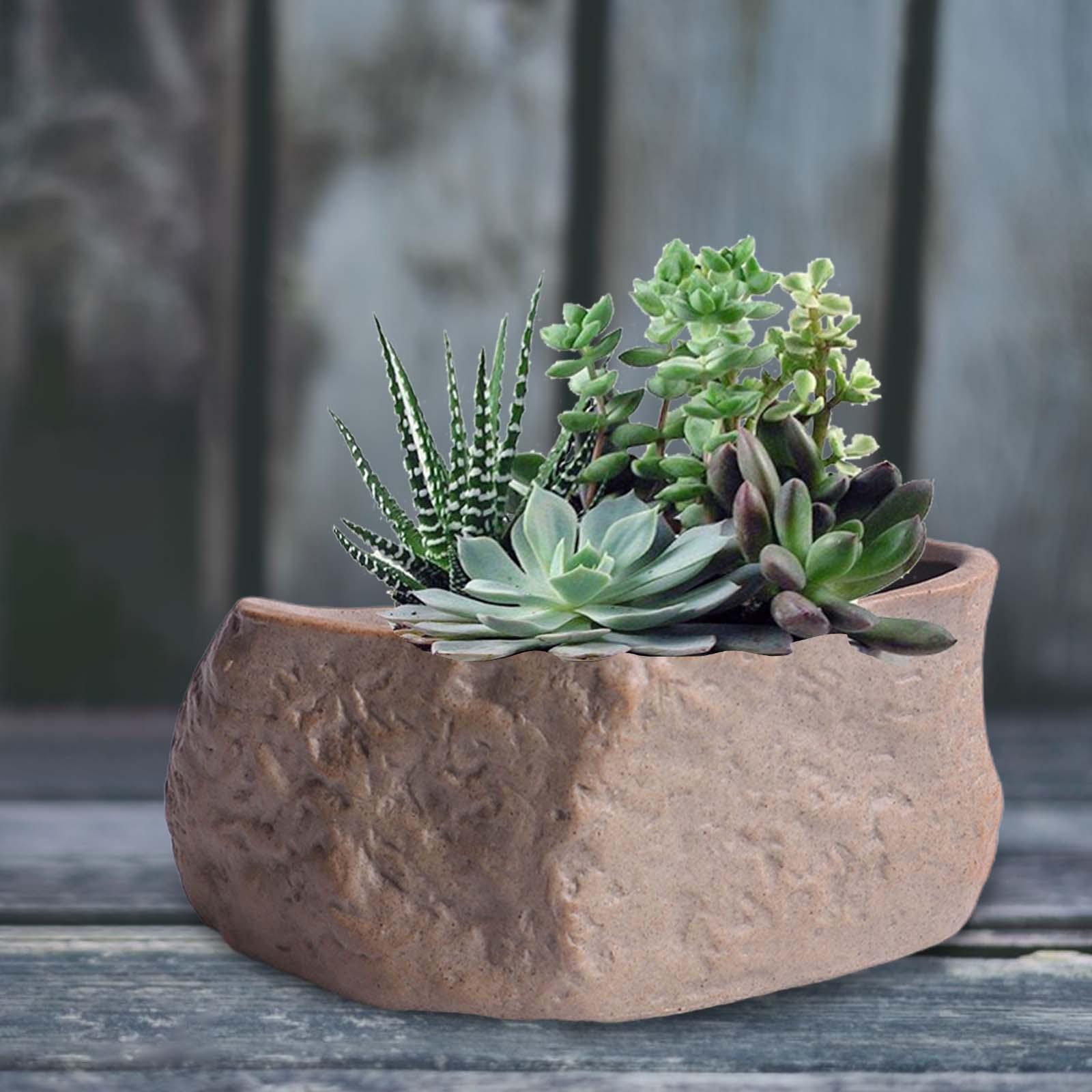 Training Pot Ceramic - Keramik-Sukkulententopf, Leichtgewichtige Bonsai-Trainingstöpfe, Kaktus-Pflanzgefäße für Festivals,