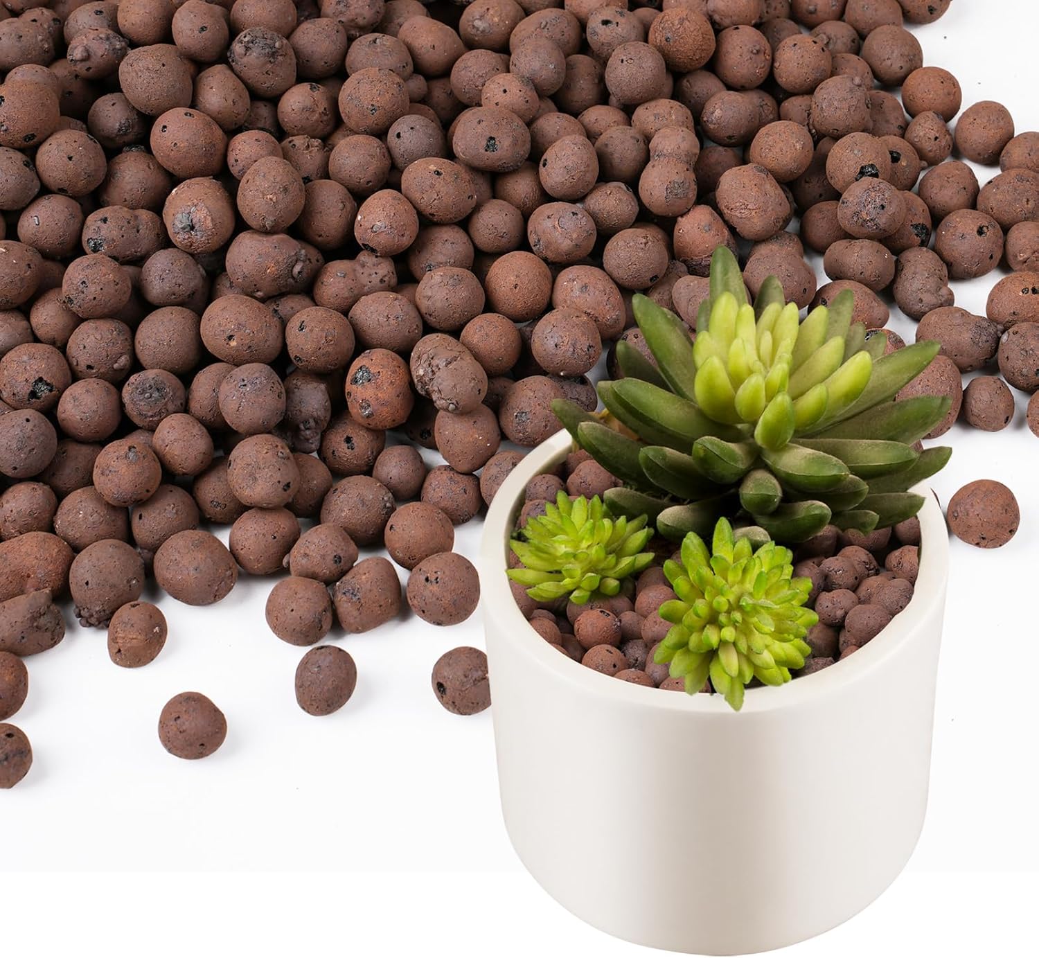Sphagnum Moss Bag - 100/200G Tonkugeln für Pflanzen, Leichte Tonbälle