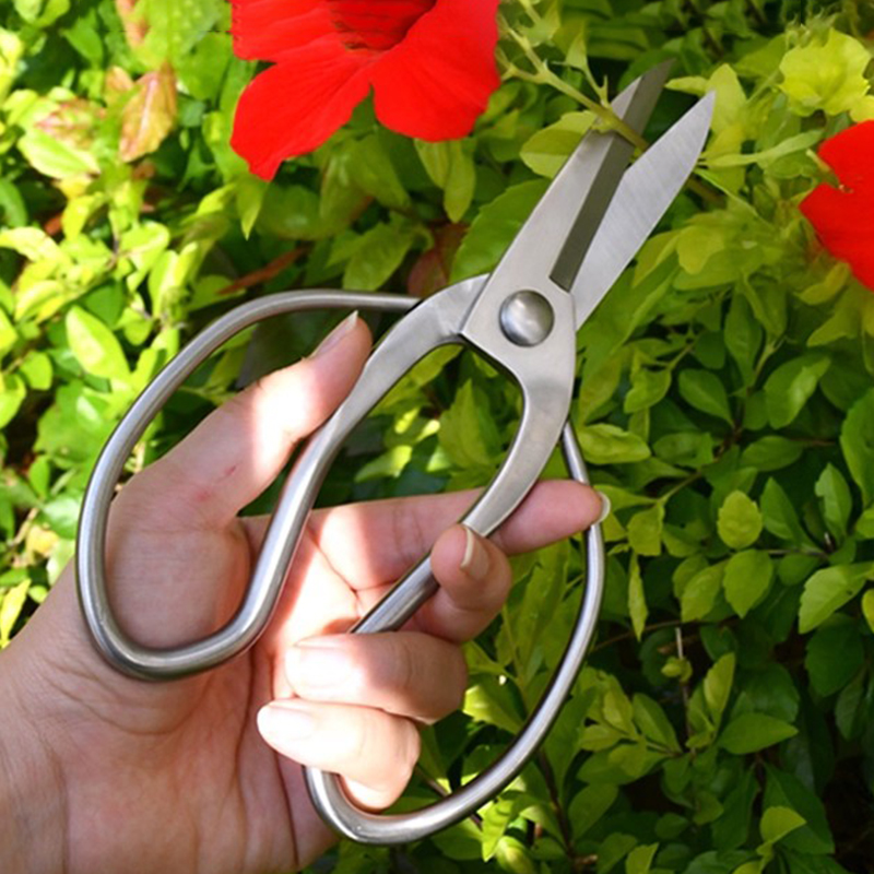 Bonsai Garden Knife - Edelstahl Gartenschere Tragbare Gartenschere Bonsai Beschneiden