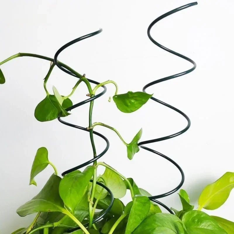 Kletterpflanzen-Stützstange, R – Bonsai Garden Plants Bewertung und Preis