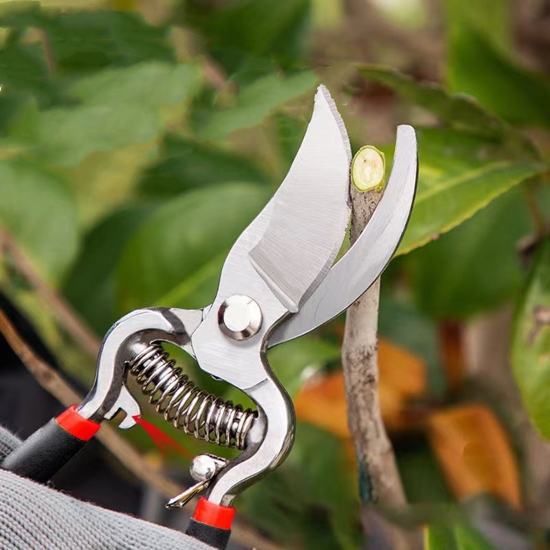 Gartenschere Veredelungswerkze – Bonsai Garden Knife Bewertung und Preis
