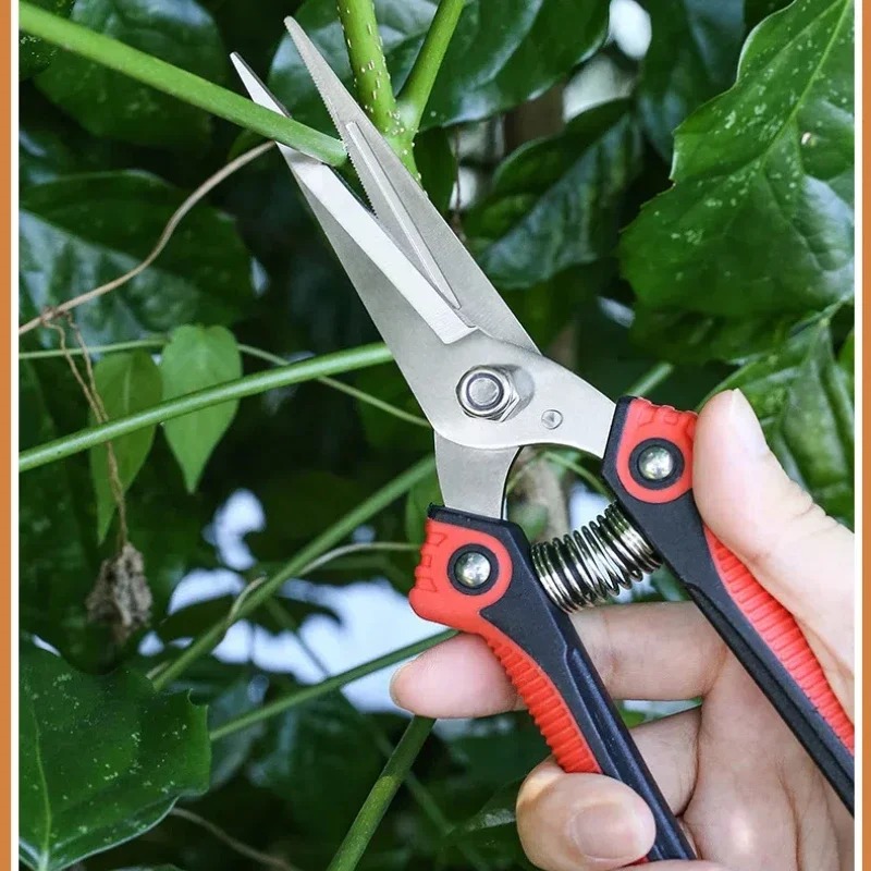 NEWSHARK Edelstahl-Gartenscher – Bonsai Garden Knife Bewertung und Preis