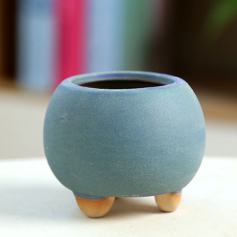 Fleischiger Mini-Blumentopf au – Training Pot Ceramic Bewertung und Preis