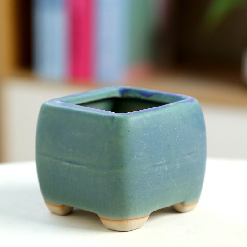 Fleischiger Mini-Blumentopf au – Training Pot Ceramic Bewertung und Preis