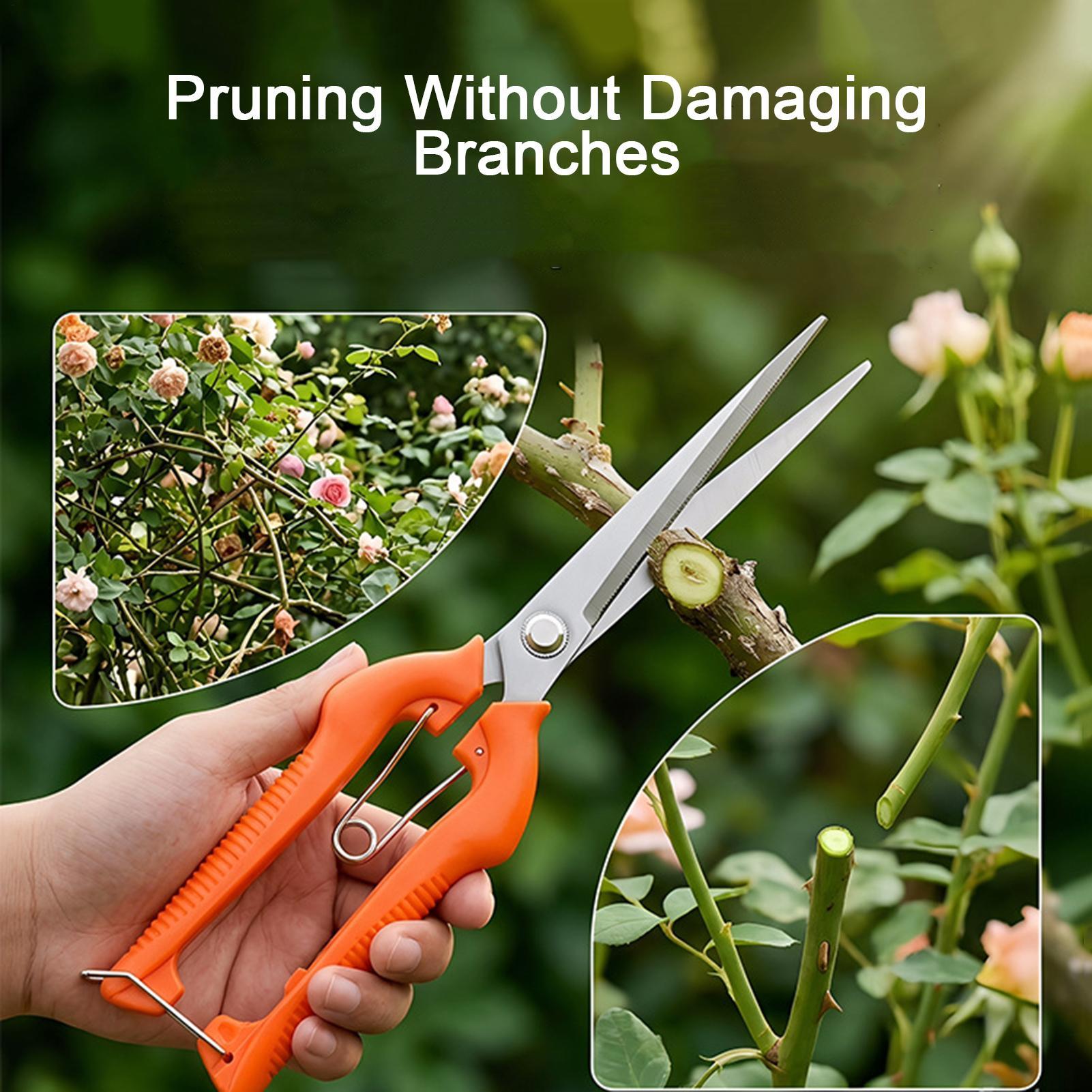 Professionelle Gartenschere au – Bonsai Garden Knife Bewertung und Preis
