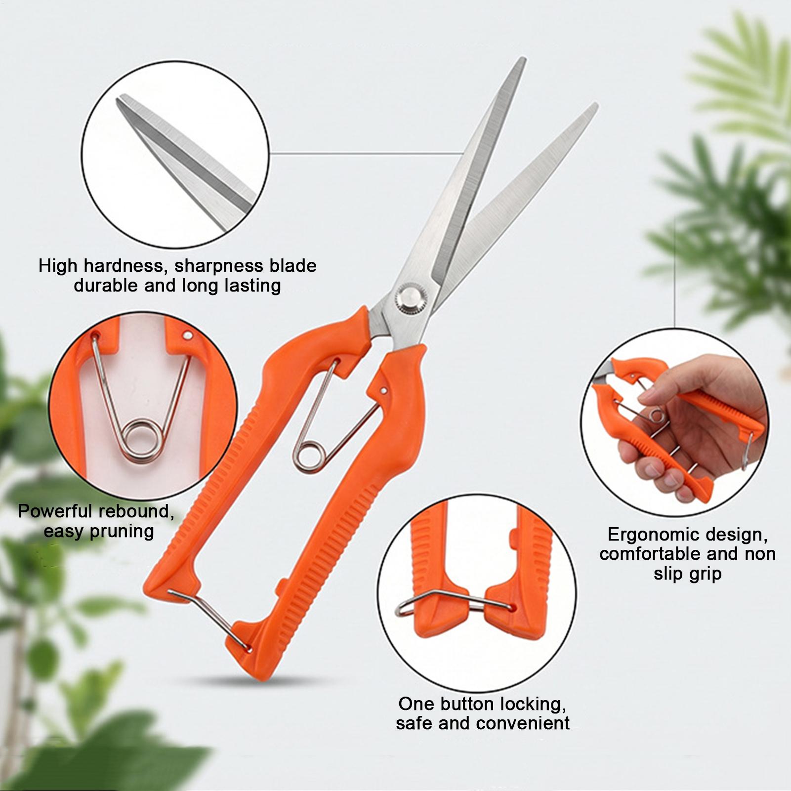 Professionelle Gartenschere au – Bonsai Garden Knife Bewertung und Preis