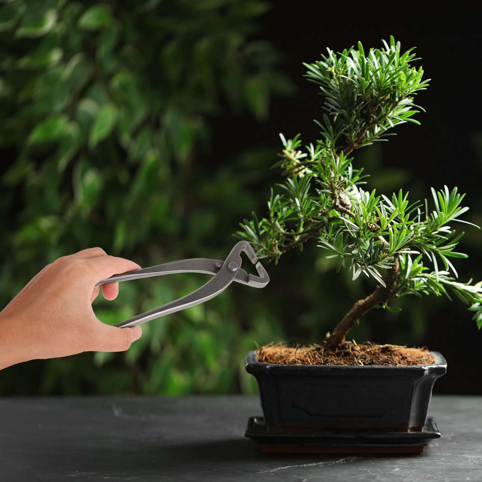 Bonsai-Schere, Astspalter, abg – Bonsai Garden Knife Bewertung und Preis