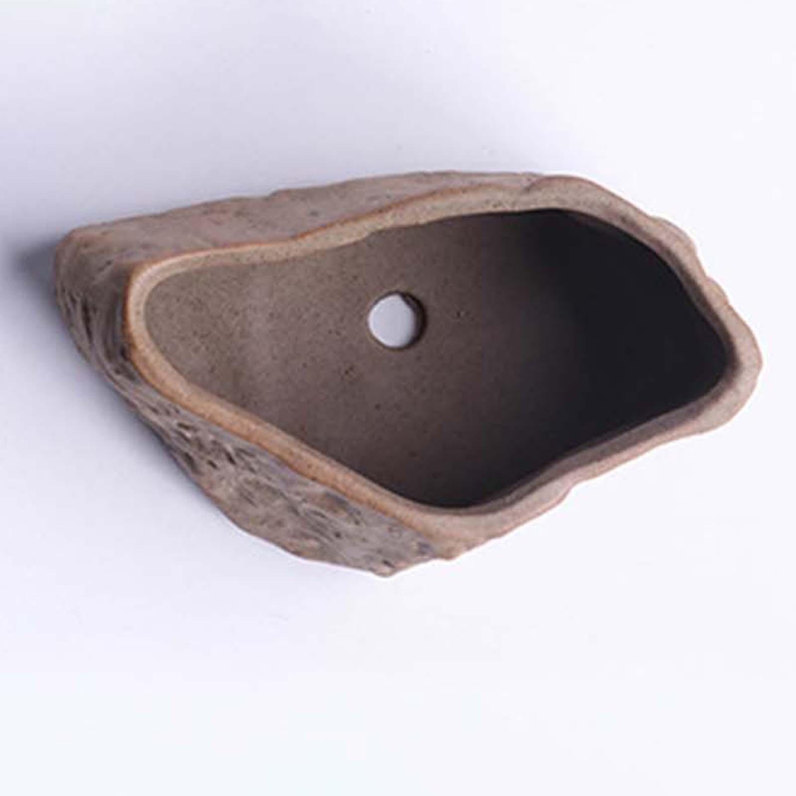 Keramik-Sukkulententopf, Leich – Training Pot Ceramic Bewertung und Preis