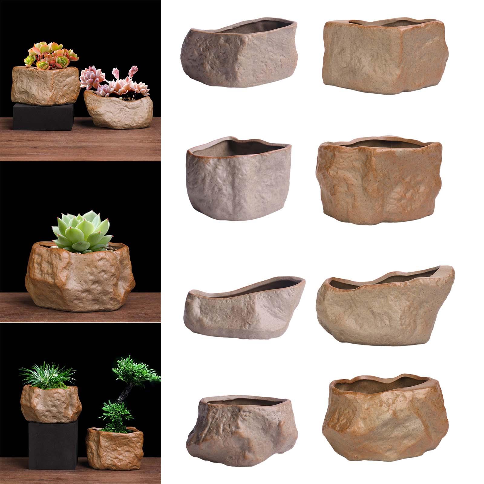 Keramik-Sukkulententopf, Leich – Training Pot Ceramic Bewertung und Preis