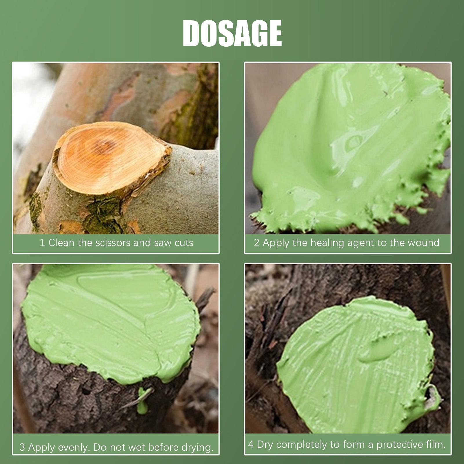 Pflanzen-Wundversiegelungsmitt – Bonsai Garden Decor Bewertung und Preis