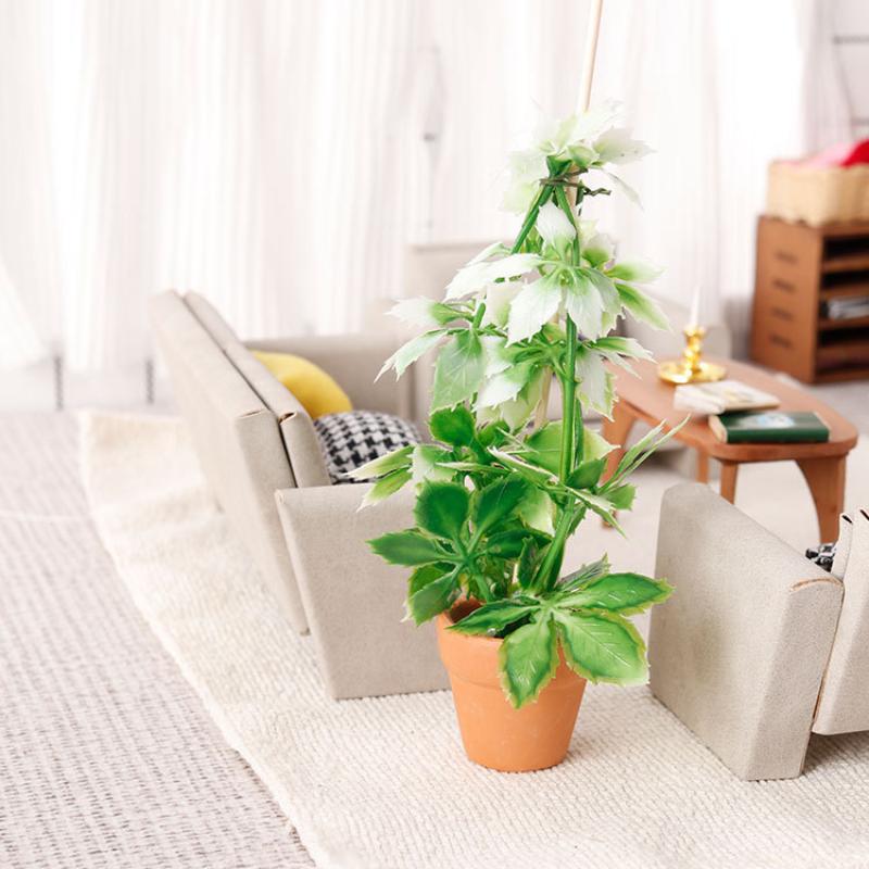 1/12 Puppenhaus Simulation Grü – Bonsai Garden Decor Bewertung und Preis