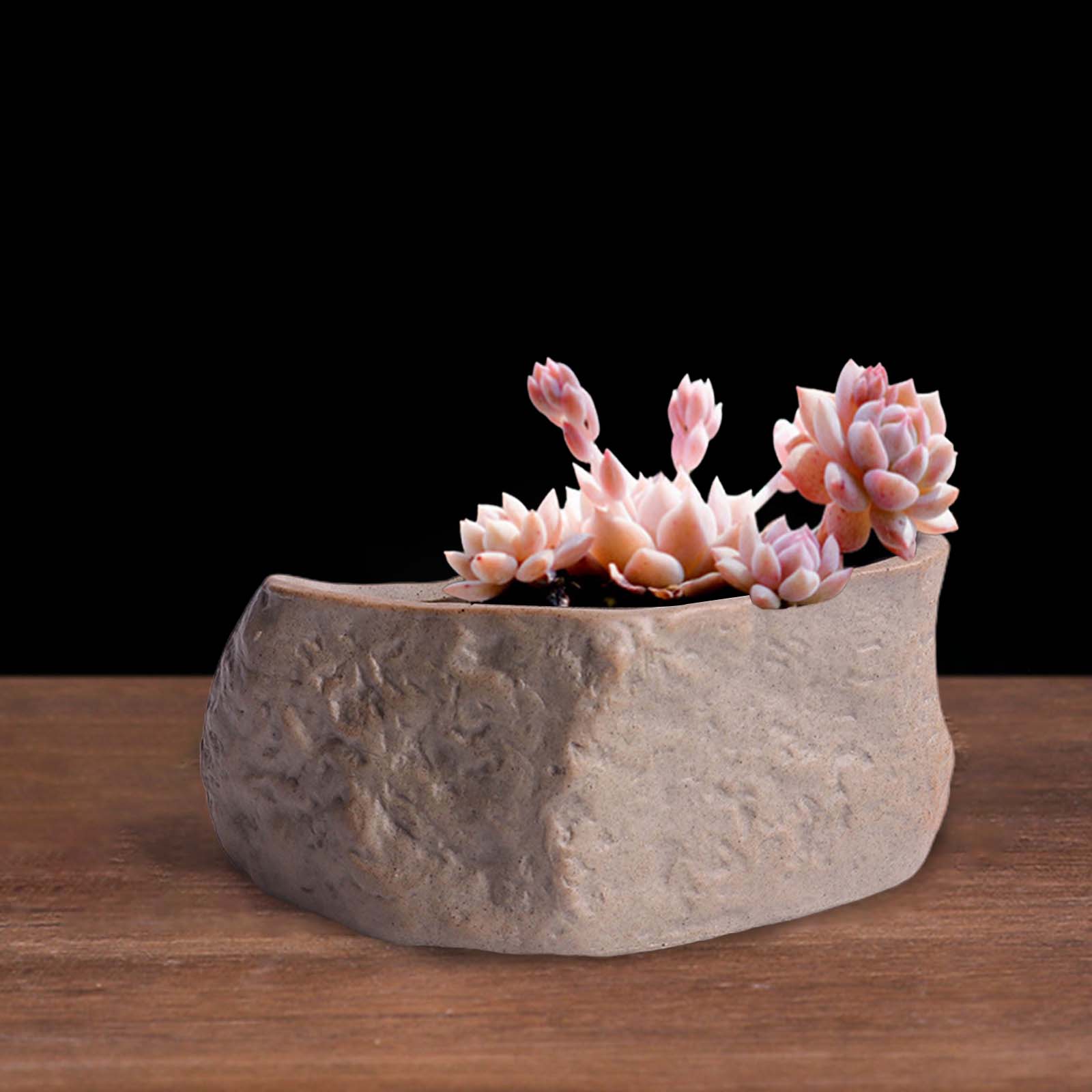Sukkulenten-Topf aus Keramik,  – Training Pot Ceramic Bewertung und Preis
