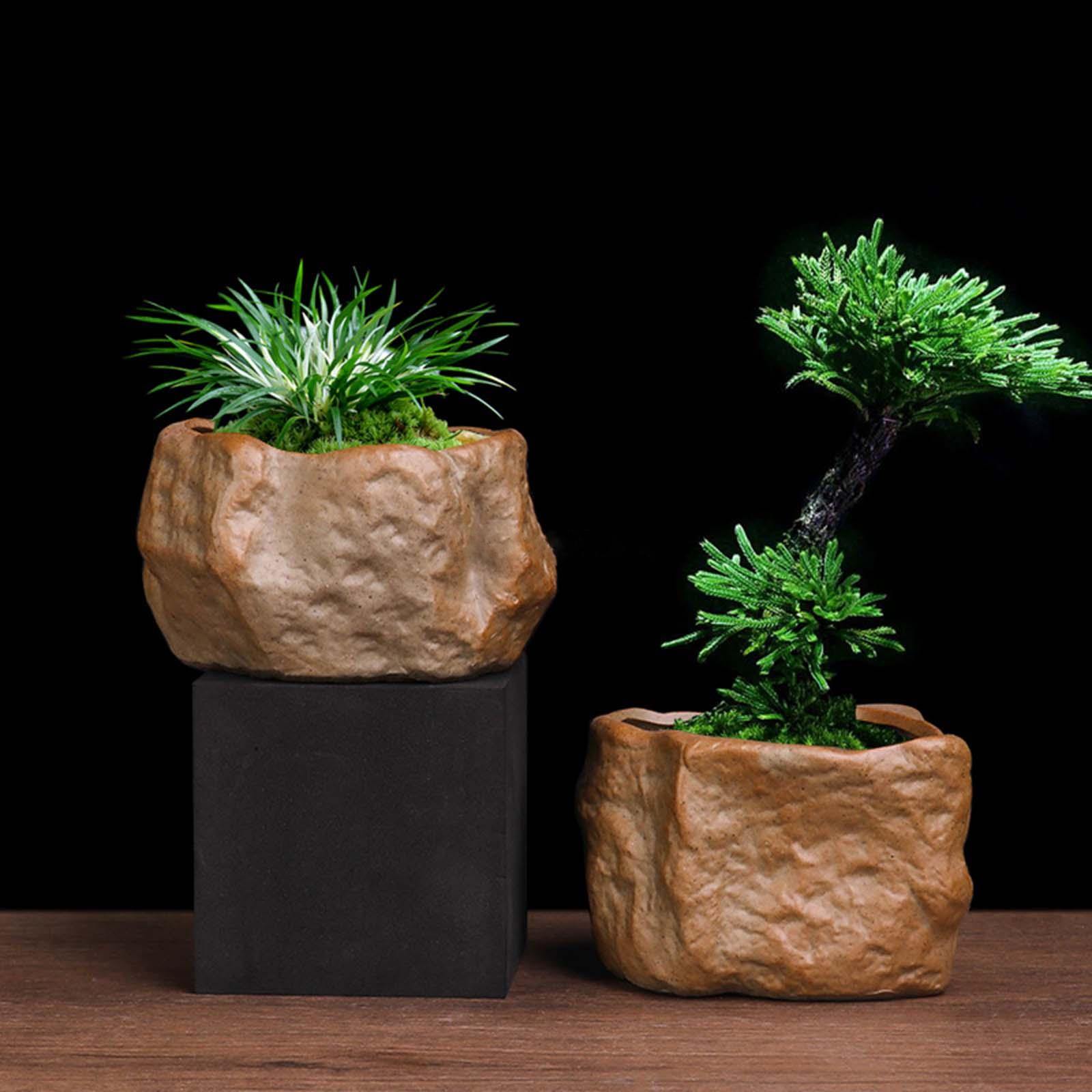 Sukkulenten-Topf aus Keramik,  – Training Pot Ceramic Bewertung und Preis