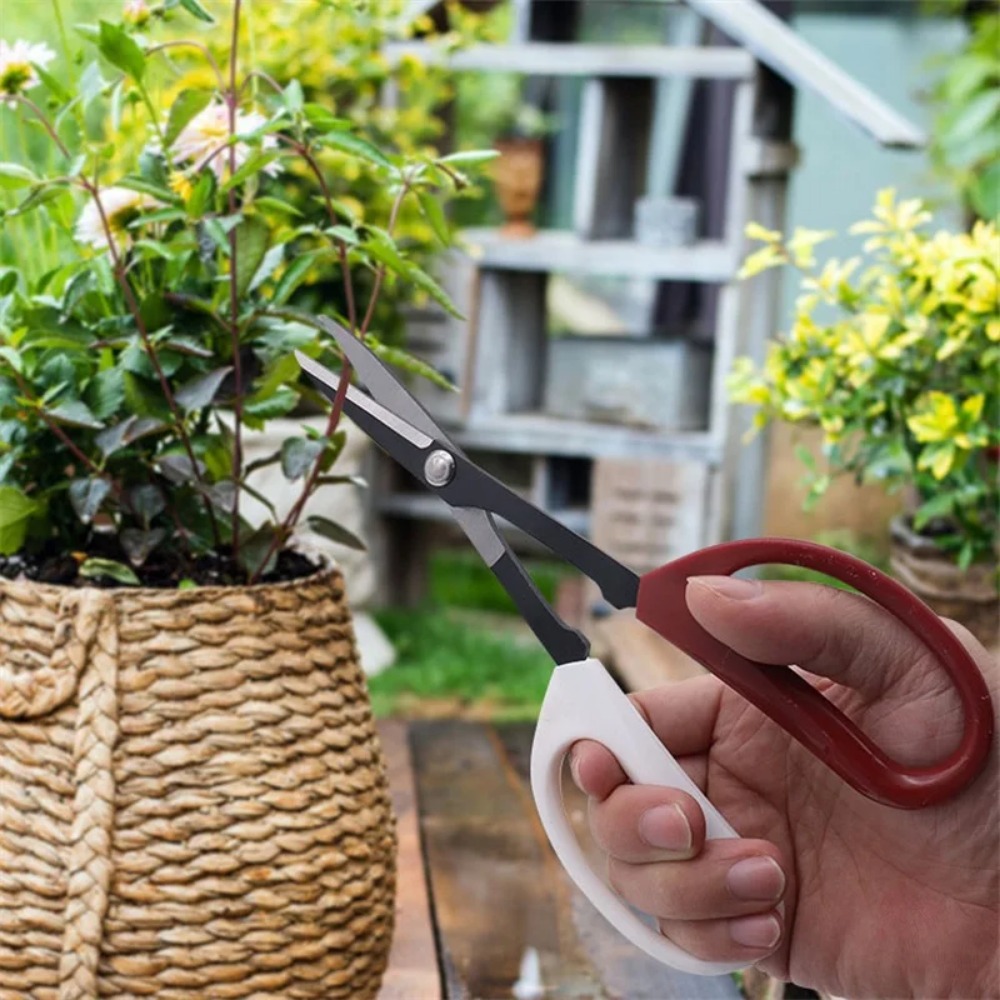 Bonsai-Werkzeug, Schere mit la – Bonsai Garden Knife Bewertung und Preis