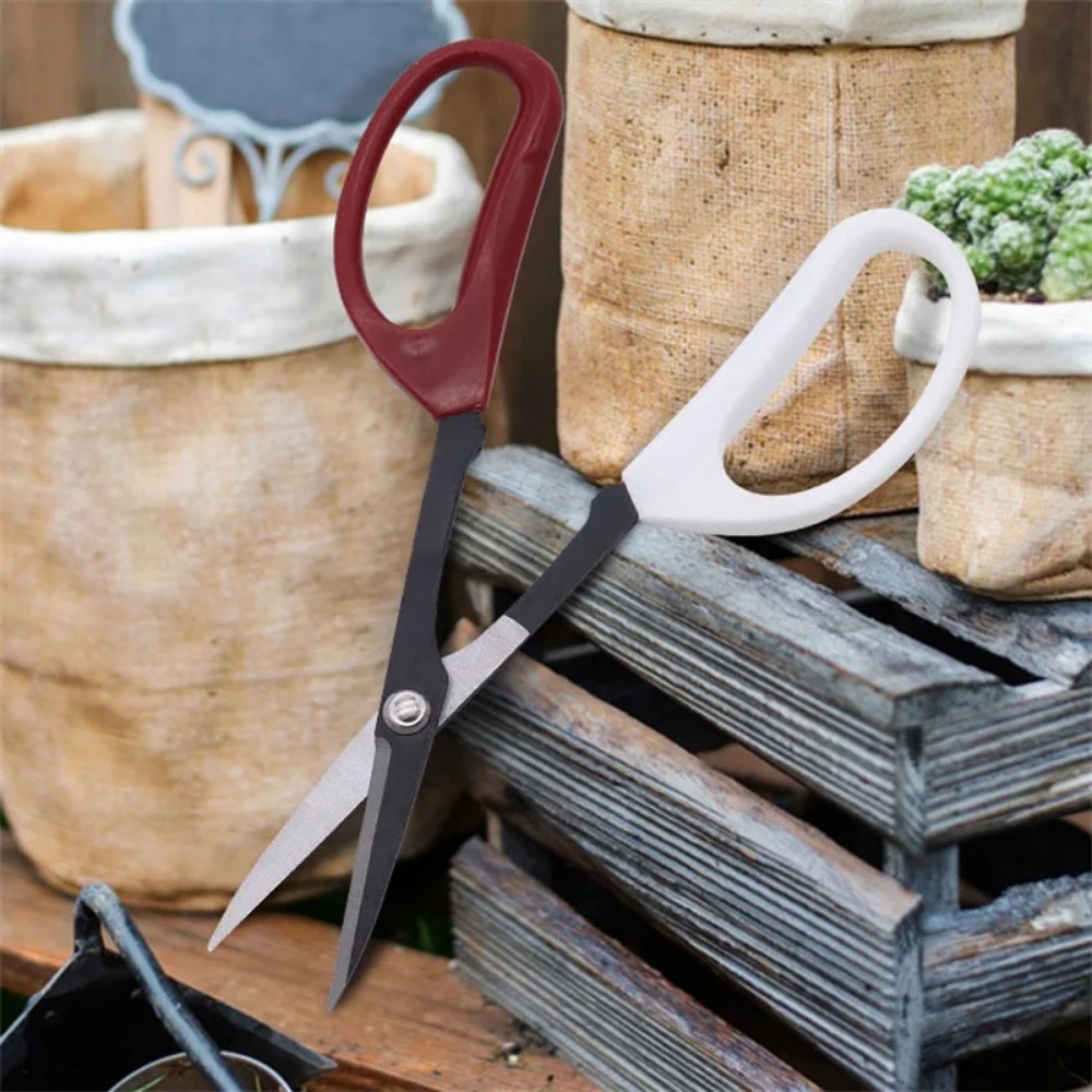 Bonsai-Werkzeug, Schere mit la – Bonsai Garden Knife Bewertung und Preis