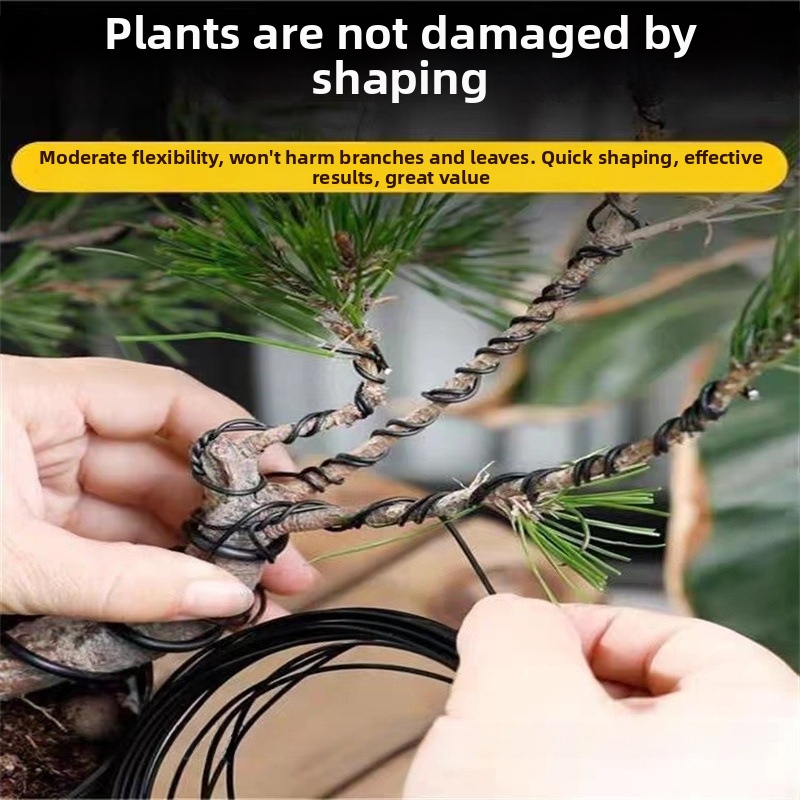 1,5-mm-Bonsaidrähte, Aluminium – Bonsai Garden Plants Bewertung und Preis