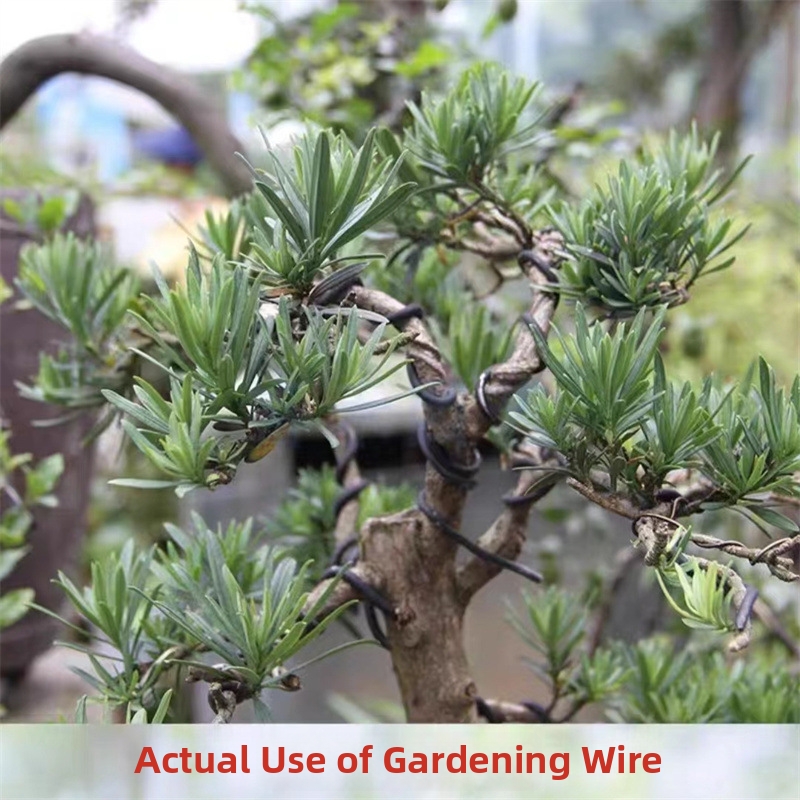 1,5-mm-Bonsaidrähte, Aluminium – Bonsai Garden Plants Bewertung und Preis