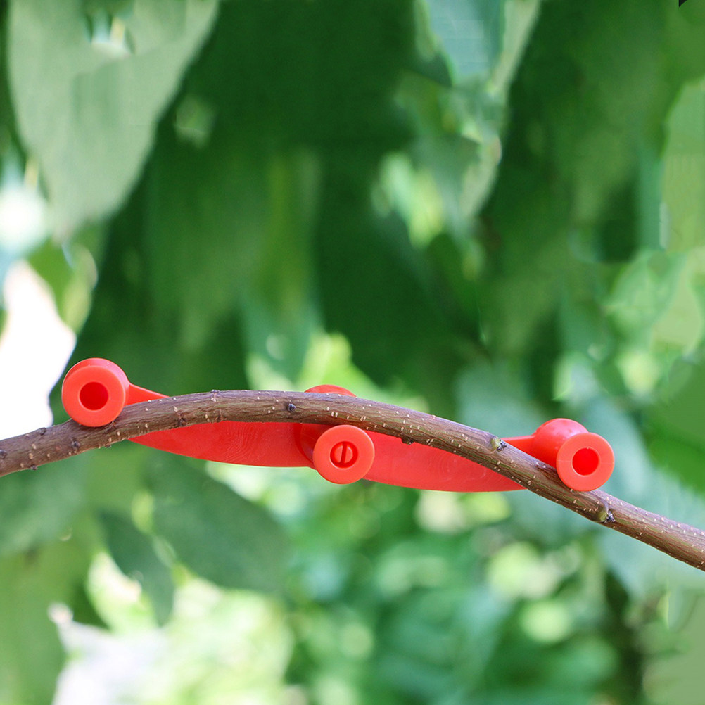 10 Stück Flexible Pflanzenbieg – Bonsai Garden Plants Bewertung und Preis