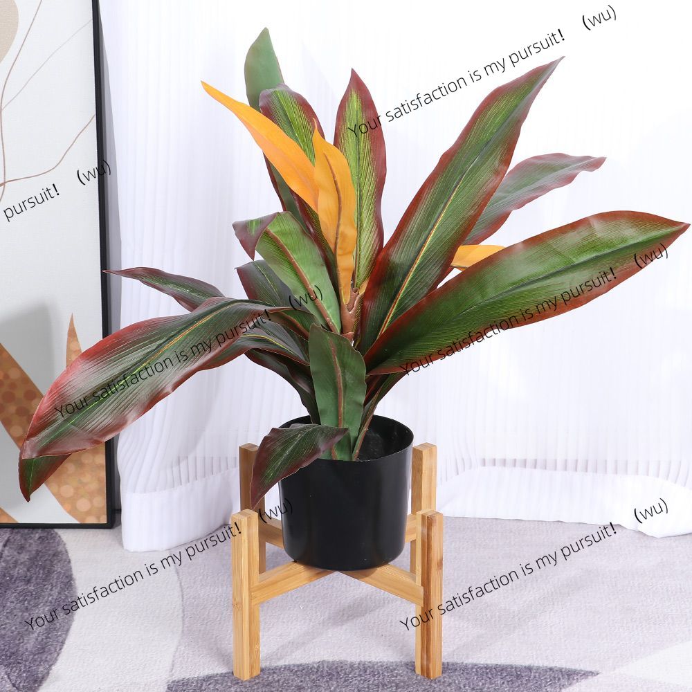 Vertikaler Bonsai-Ausstellungs – Bonsai Vertical Garden Bewertung und Preis