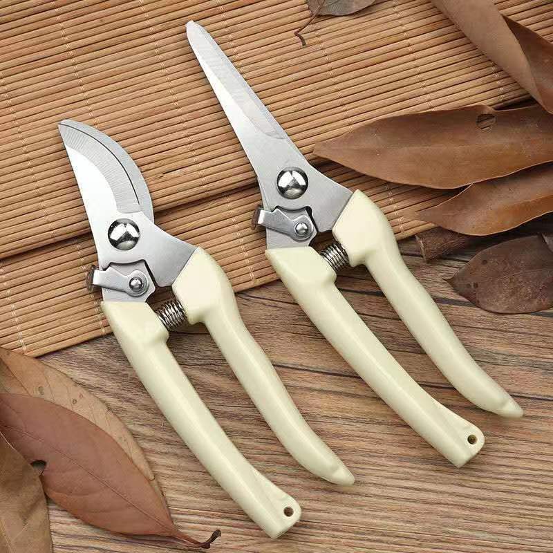Edelstahl-Gartenschere mit Fed – Bonsai Garden Knife Bewertung und Preis