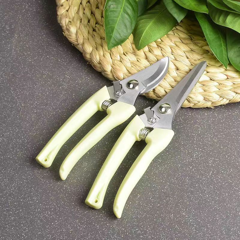 Edelstahl-Gartenschere mit Fed – Bonsai Garden Knife Bewertung und Preis