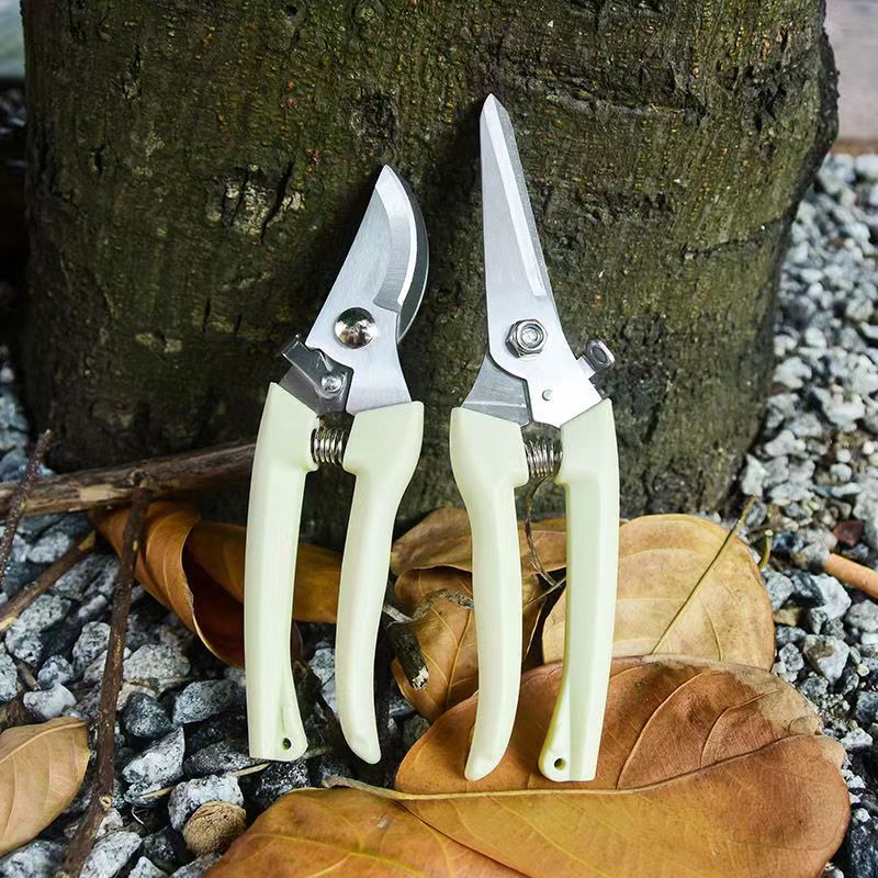 Edelstahl-Gartenschere mit Fed – Bonsai Garden Knife Bewertung und Preis