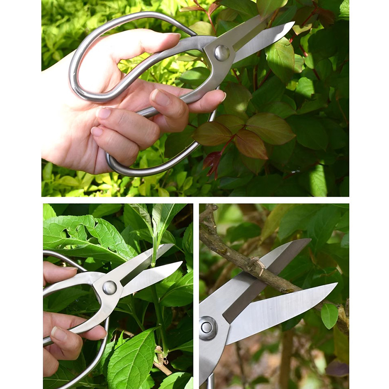 Edelstahl Gartenschere Tragbar – Bonsai Garden Knife Bewertung und Preis