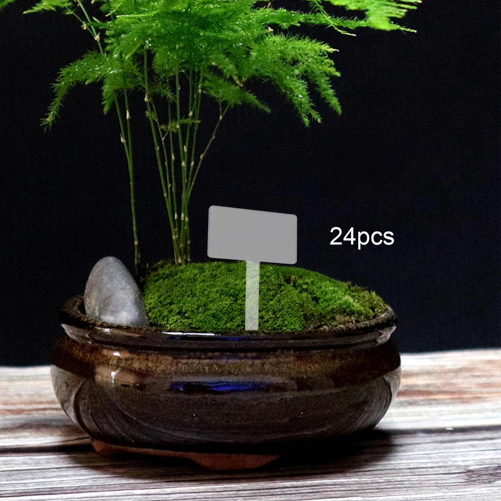 24x Acryl-Pflanzenschilder, wi – Bonsai Garden Name Bewertung und Preis