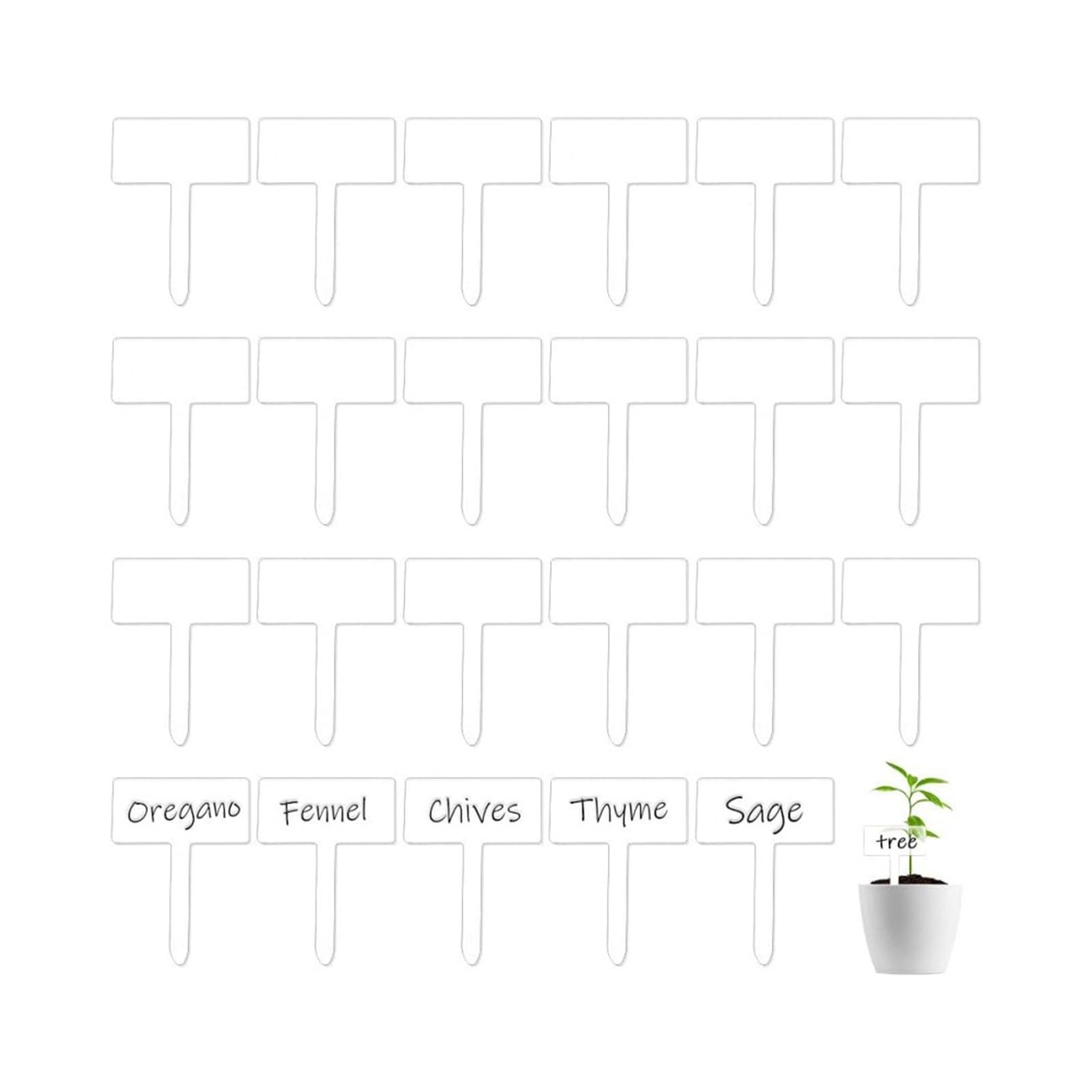 24x Acryl-Pflanzenschilder, wi – Bonsai Garden Name Bewertung und Preis