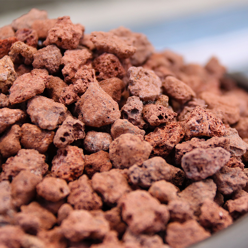 500g/1000g Rot Vulkangestein S – Sphagnum Moss Bag Bewertung und Preis